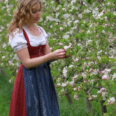 Hochwertiges Dirndl Größe 36 - thumb