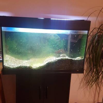 Acquarium 100litet - thumb