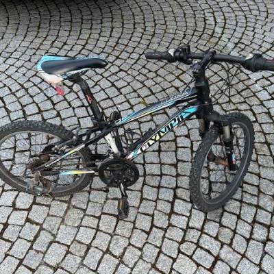 Kinderfahrrad 20 Zoll - Olympia Cobra - thumb