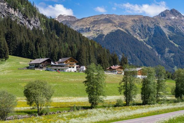 Zimmerfee im Sarntal gesucht!