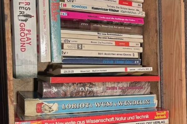 Bücherkiste mit über 40 Bücher