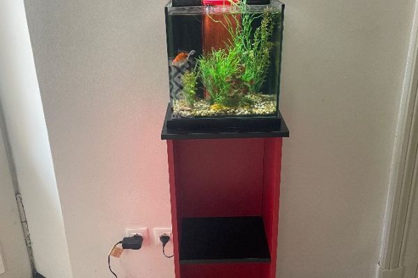 Verkaufe Aquarium mit Fisch