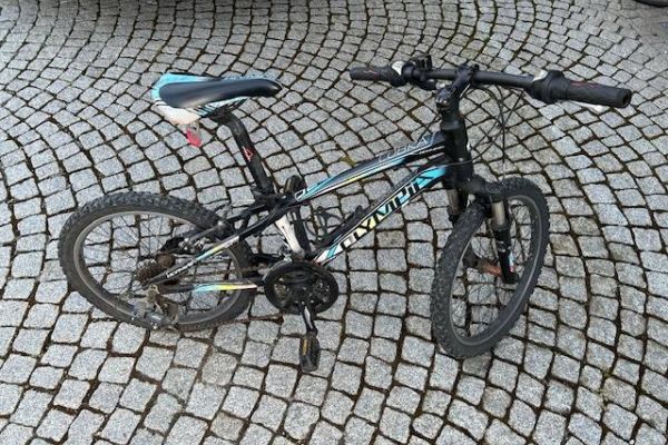 Kinderfahrrad 20 Zoll - Olympia Cobra