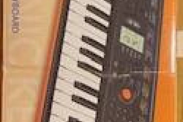 Casio Electronic Keyboard