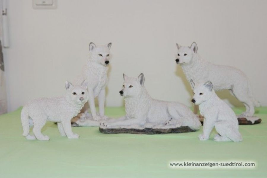 Wölfe/Wolfsfamilie im Set - Bild 1