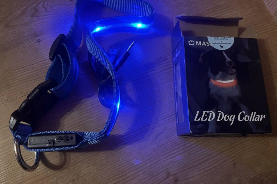 neues leuchtendes Hundehalsband LED USB aufladbar Blau - Bild 1