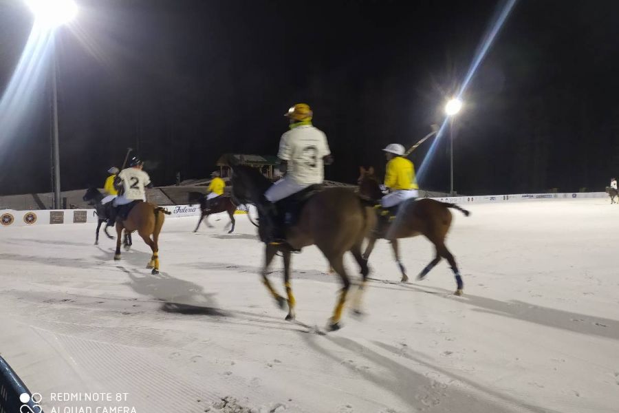 Pferde Polo / Horseball spielen (Raum Eisack-Pustertal) - Bild 1