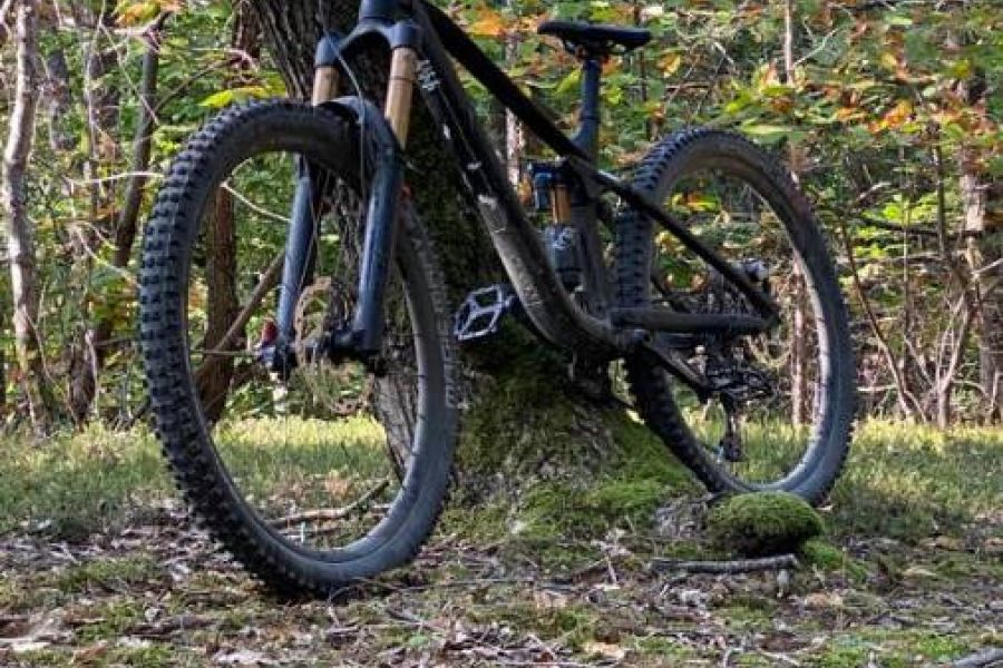 ENDURO MTB - Bild 2