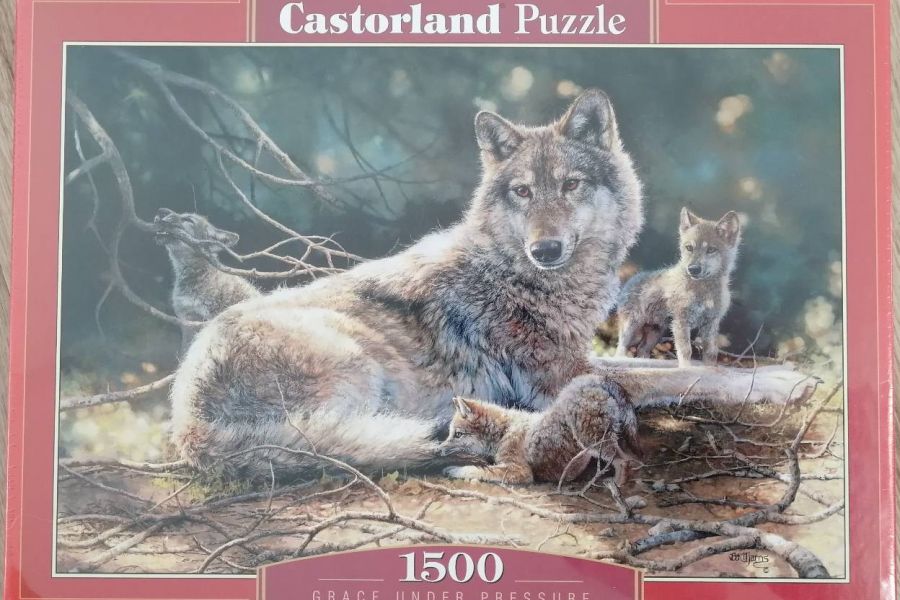 Castorland Puzzle 1500 Stück Grace under Pressure - Bild 1