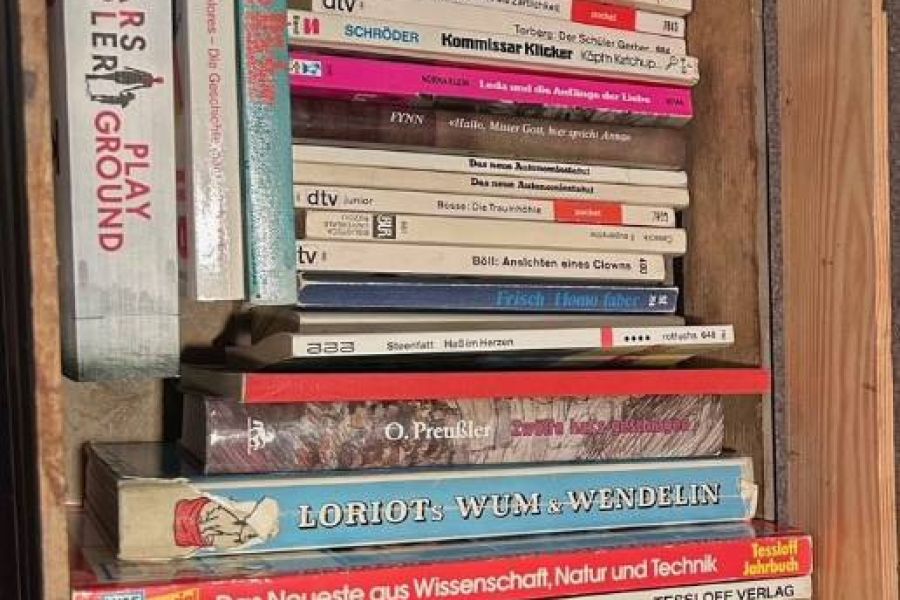 Bücherkiste mit über 40 Bücher - Bild 1