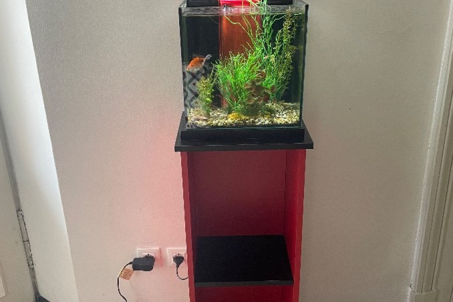 Verkaufe Aquarium mit Fisch - Bild 1