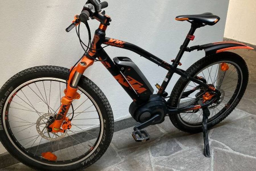 Tolles Weihnachtsgeschenk - E-Bike für Kinder - Bild 1