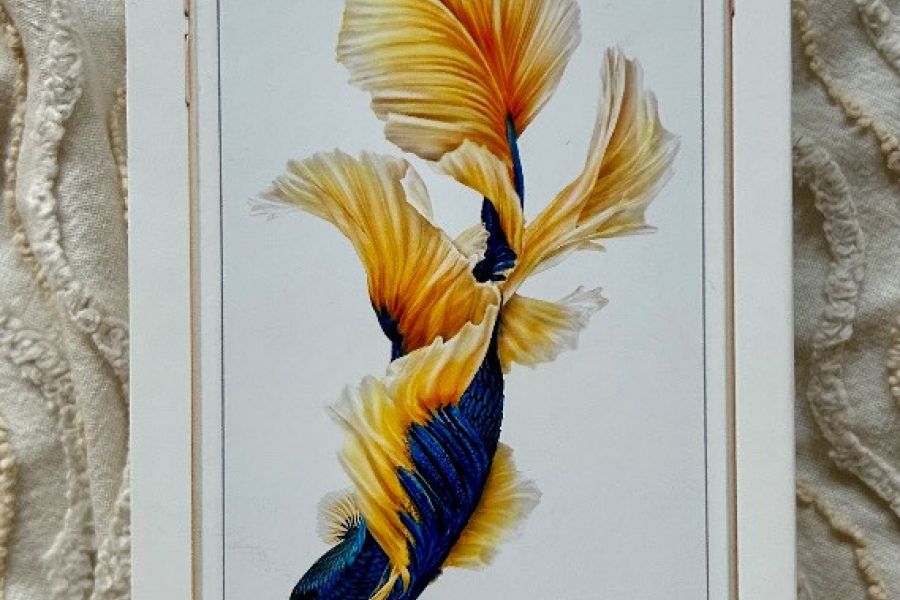 iPhone 6 S plus 16 gold - Bild 3