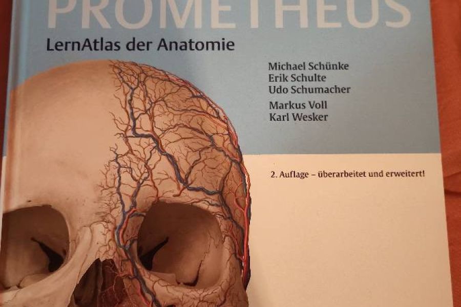 Prometheus Kopf, Hals und Neuroanatomie - Bild 1